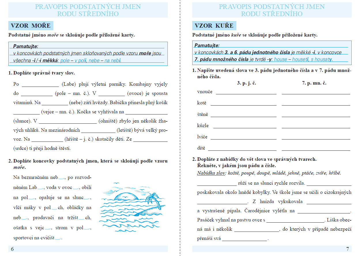 Procvičujeme pravopis podstatných jmen rodu ženského a středního