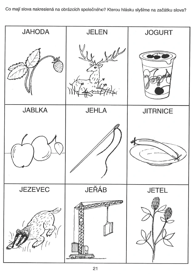 Sluchové vnímání