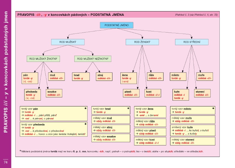 Přehledy českého jazyka pro žáky a studenty