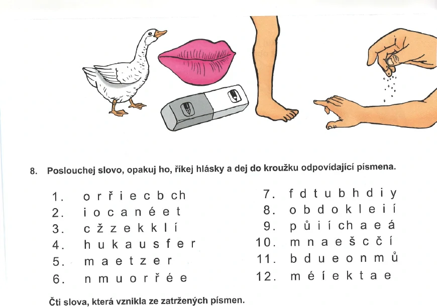 Pavučinka Sluchové vnímání