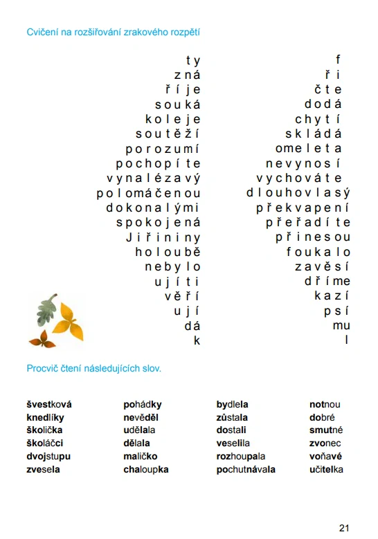 Dyslektická čítanka pro 4. - 5. ročník