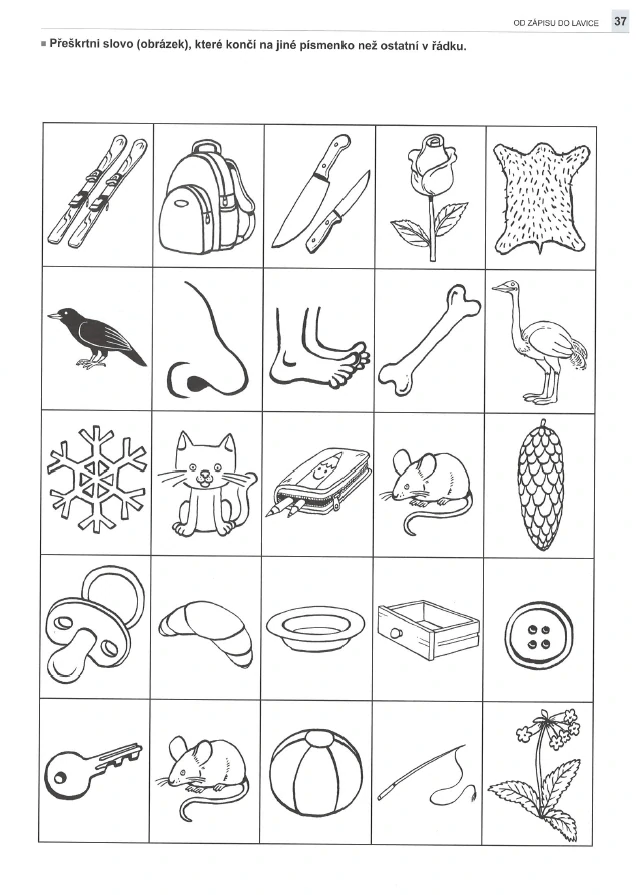 Od zápisu do lavice - Sluchové vnímání