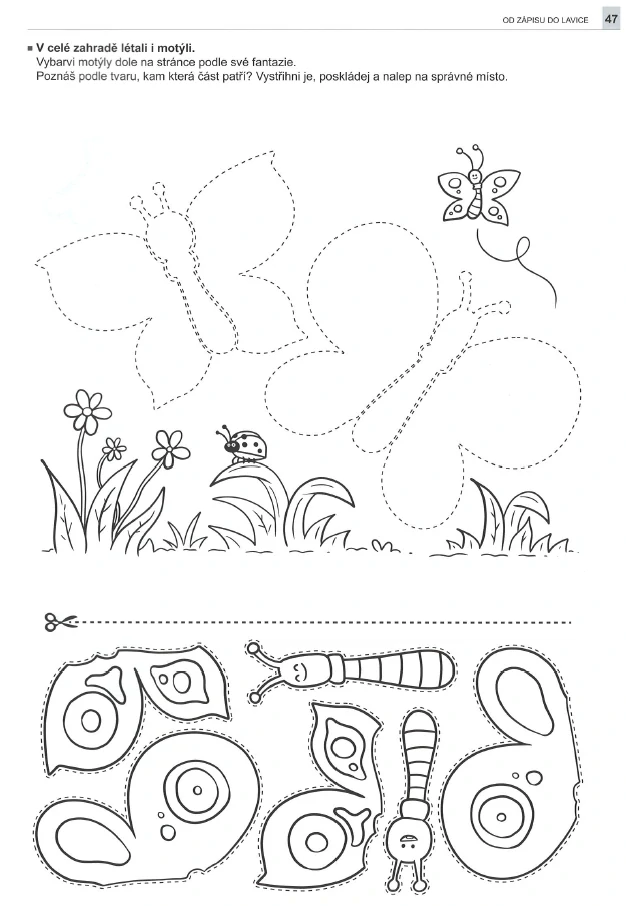 Od zápisu do lavice - Nácvik jemné motoriky