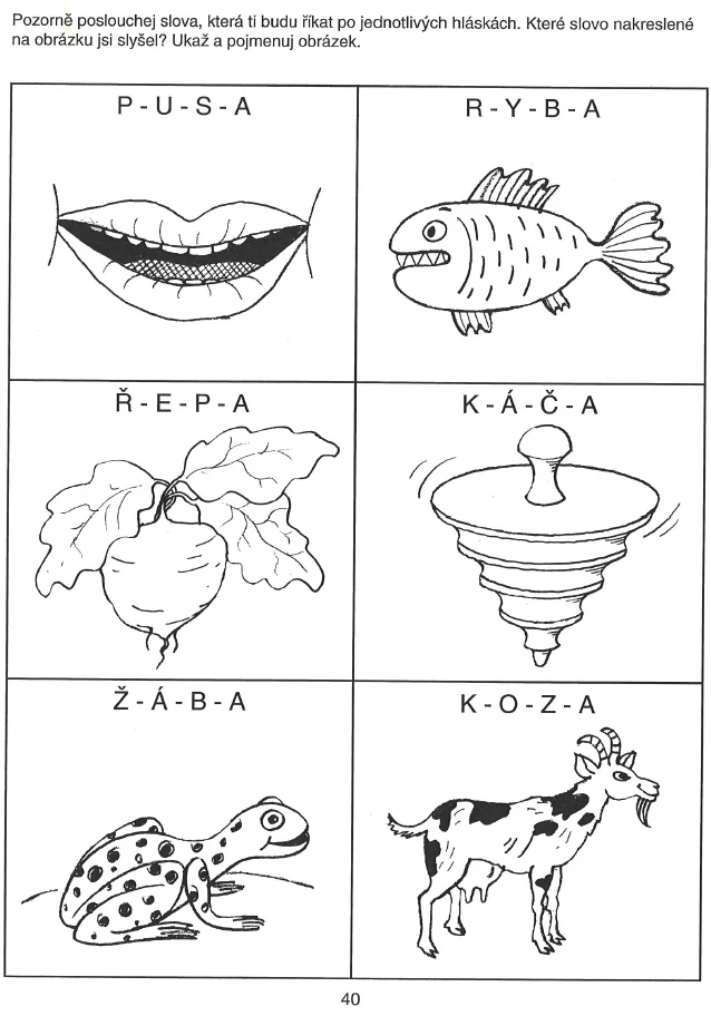 Sluchové vnímání